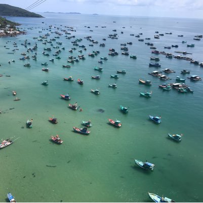 petrovik85's profile picture. Tin tức Thương hiệu và công ty