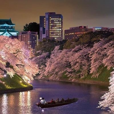 hharuokeiko's profile picture. 