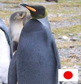 ひろぽん六四天安門さんのプロフィール画像