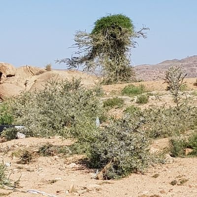 csnPFDaV6MLIdRp's profile picture. الخوف من الله في السر والعلن