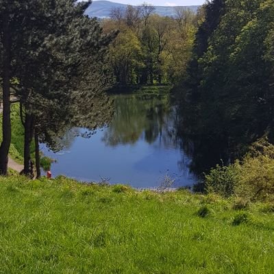 eddieparker1's profile picture. 