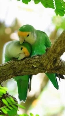 Senthil80944945's profile picture. 