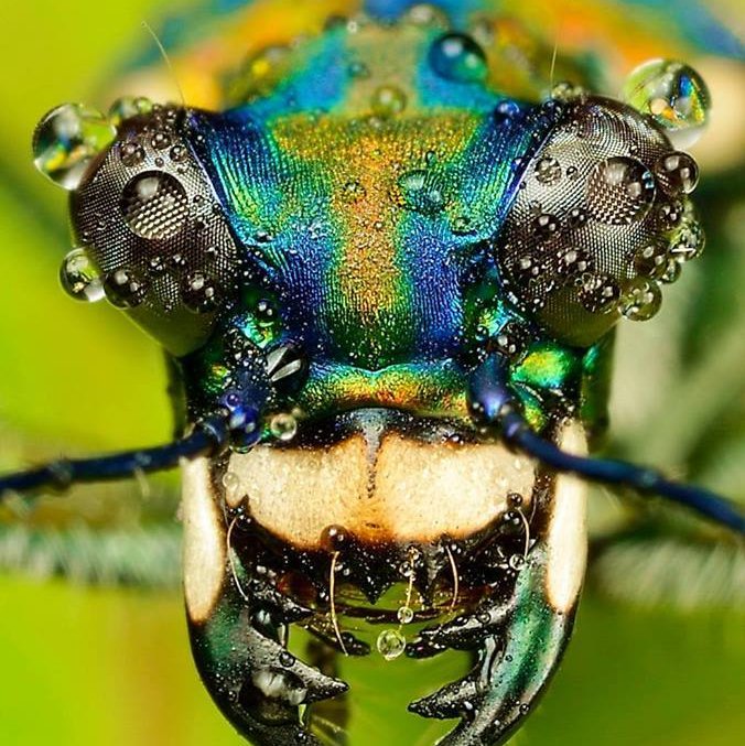 naojulgo000's profile picture. 