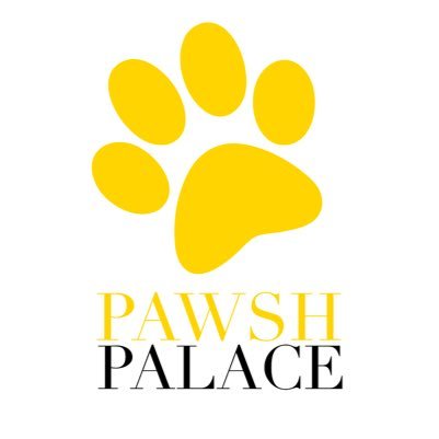 Las Vegas’ Premier Dog Hotel 📍30 Seconds from the Strip 🐩 Doggy Beach Club 🐶🏝 Dog Boarding 🕌 Dog Grooming & Dog Training