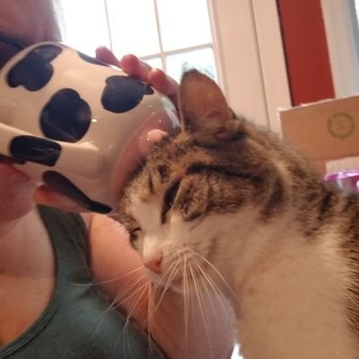 serving musicians and arts educators since 1985. Half-crazy cat mom.