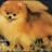 BienDodosae's profile image