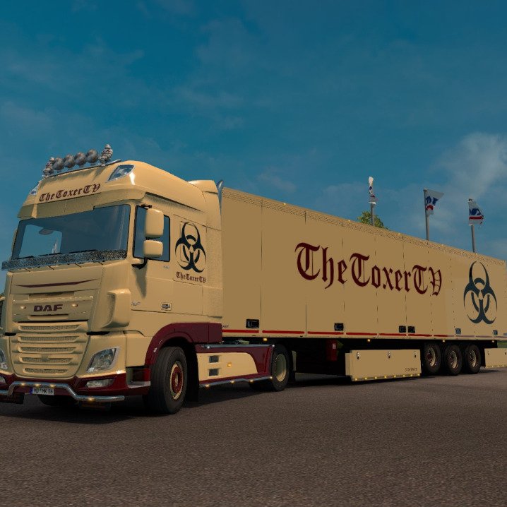 TheToxerTV's profile picture. 