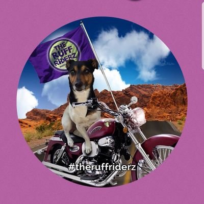 I iz Archie JRT proud Corporal in da zombiesquad #ZSHQ an in @theruffriderz I luffs walkies an cuddlez an not doin anyfin huMum tellz I 😂