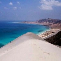 محمد الكامل (@2015alkamel) 's Twitter Profile