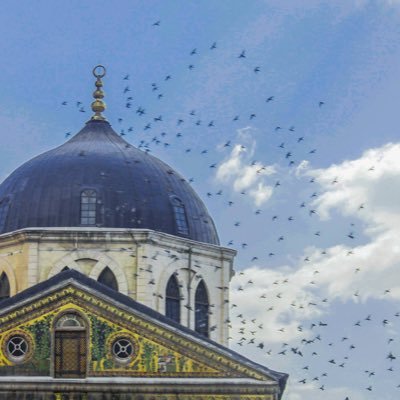 hkhanji's profile picture. We are passing through a historical era that needs our full power and actions to contribute for the better world. A Smart Technologies Entrepreneur.