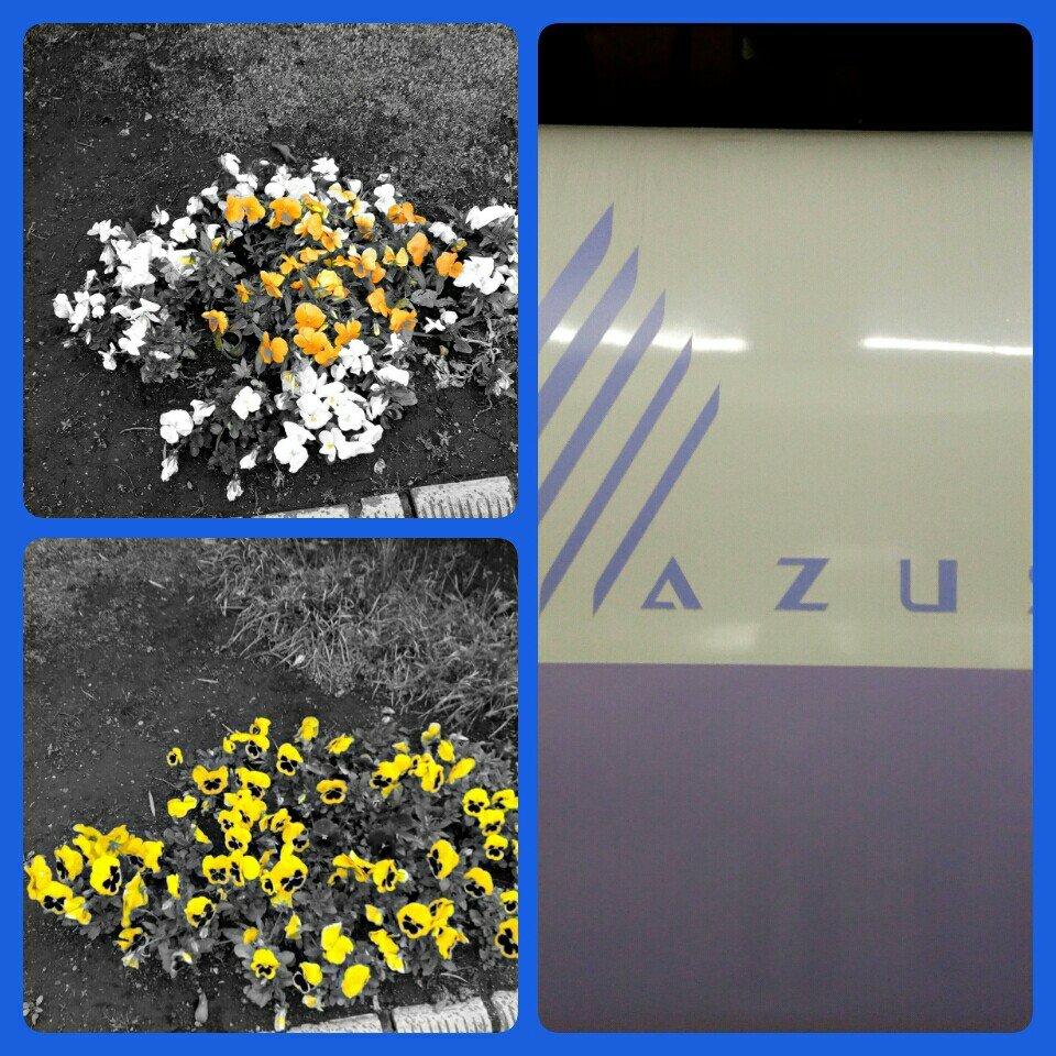 HarunaPavasaris's profile picture. ○成人済/低血圧
○マッ缶ください
○腐ってます取り扱いにはご注意ください
○現メインは青色の鉄道さんたち。同人、商業、ドラマCD。好きキャラはアイコンからお察しください
○そしゃげはグラブル＆花騎士メイン
○時々にわかベイスターズファン(どの球団好きさんもお気軽に)
○ふぉろわさんへ：お急ぎの場合DM下さい