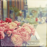 اثير الاسعدي (@albina10197334) 's Twitter Profile