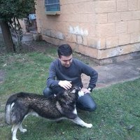 muhammed gölcür (@glcrmuhammed) Twitter profile photo