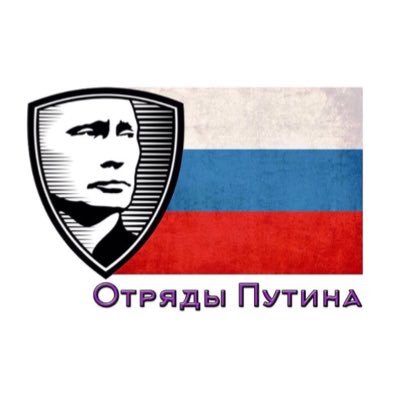 Отряды Путина это политическая неформальная организация поддерживающая президента РФ Владимира Путина!