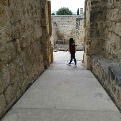 xeniasweetcool's profile picture. 1D, 5sos, sweet california, ariana grande ❤mi otra  cuenta ➡️@Xenia91520613