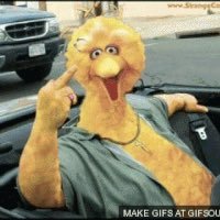 zeke_bird's profile picture. YouTube check out https://t.co/oWTtB8RF9v 5% off use code itsVision my YT is https://t.co/3O20xC82jf