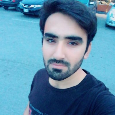 Syed Ansar Ali Shah Profile