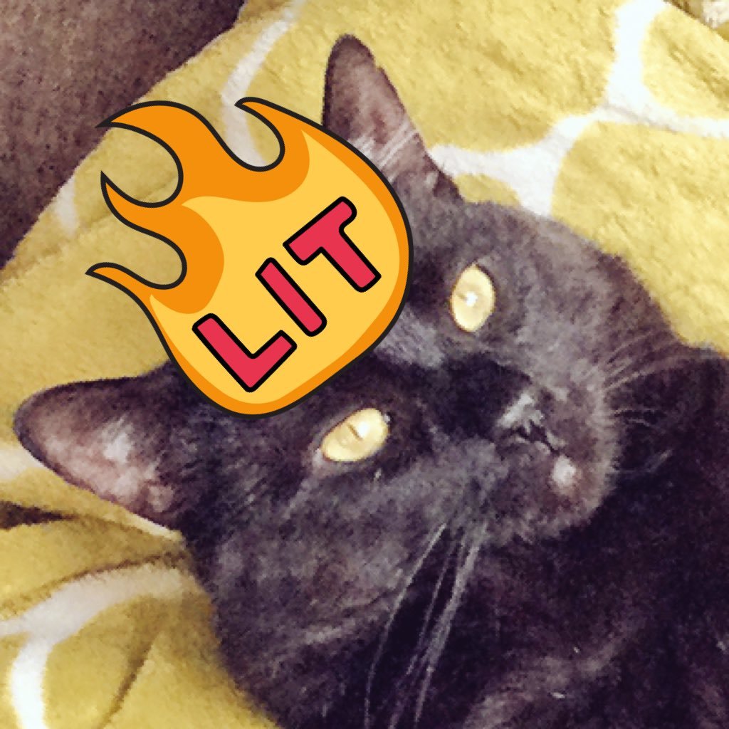 LoriKimmel5's profile picture. 