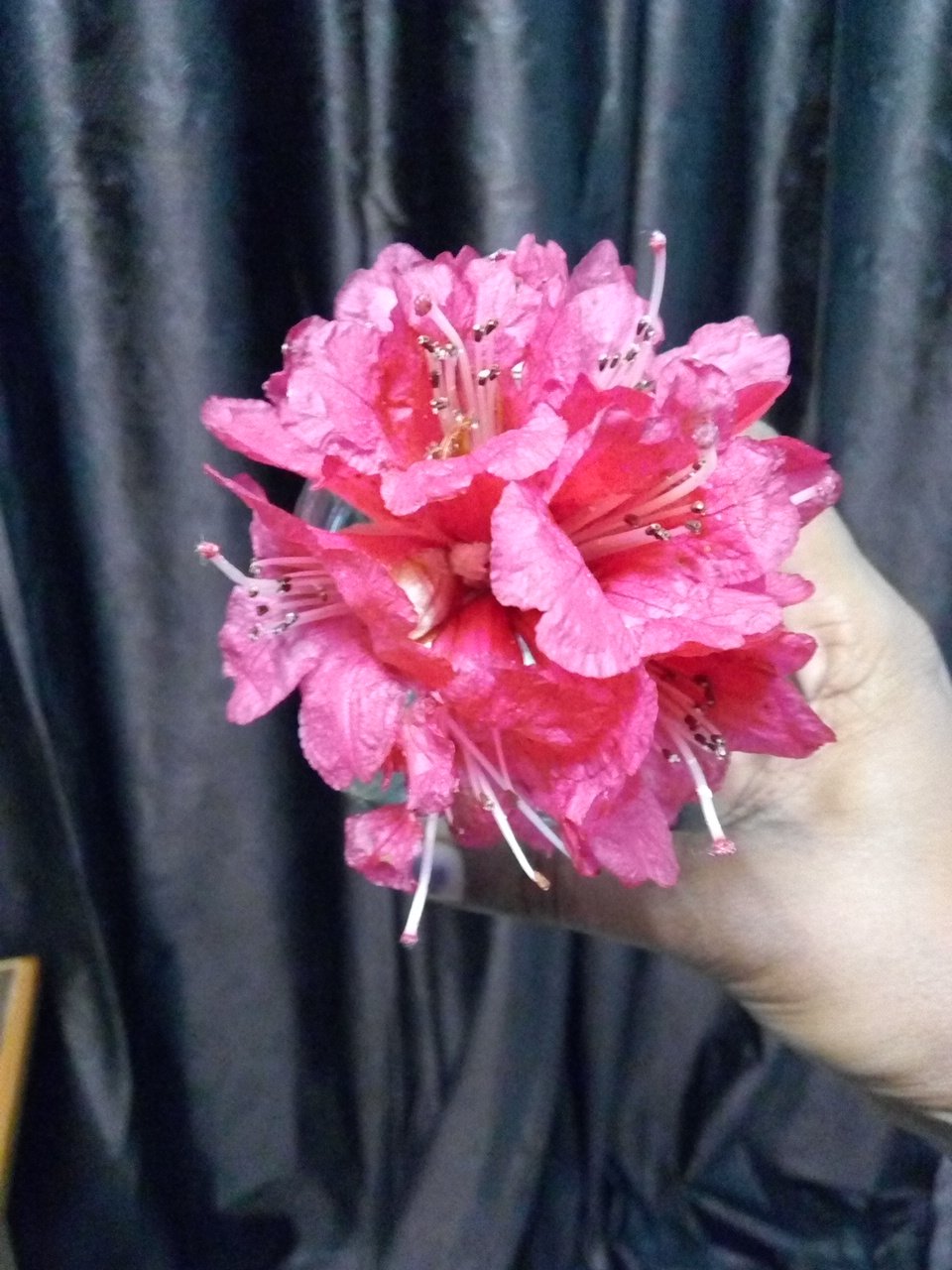 koyelji's profile picture. PolyUrea : Changing The World for Better one Structure at a time :) . 50-100yrs Guarantee long lasting constructions & Prevents Maintenance Corruption Costs