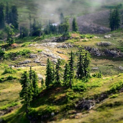 Gleb0102's profile picture.