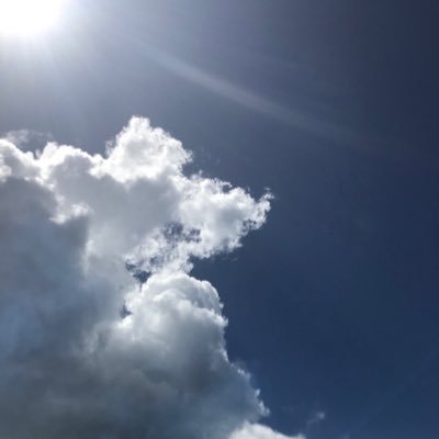 成人済み。直接取引メインですが、一部郵送もします。 ゆうちょ対応OK トラブル防止の為に郵送交換の際は梱包の仕方のご指示頂けると助かります。過去お取引経験がある方優先します。DMにてその旨お伝えください。