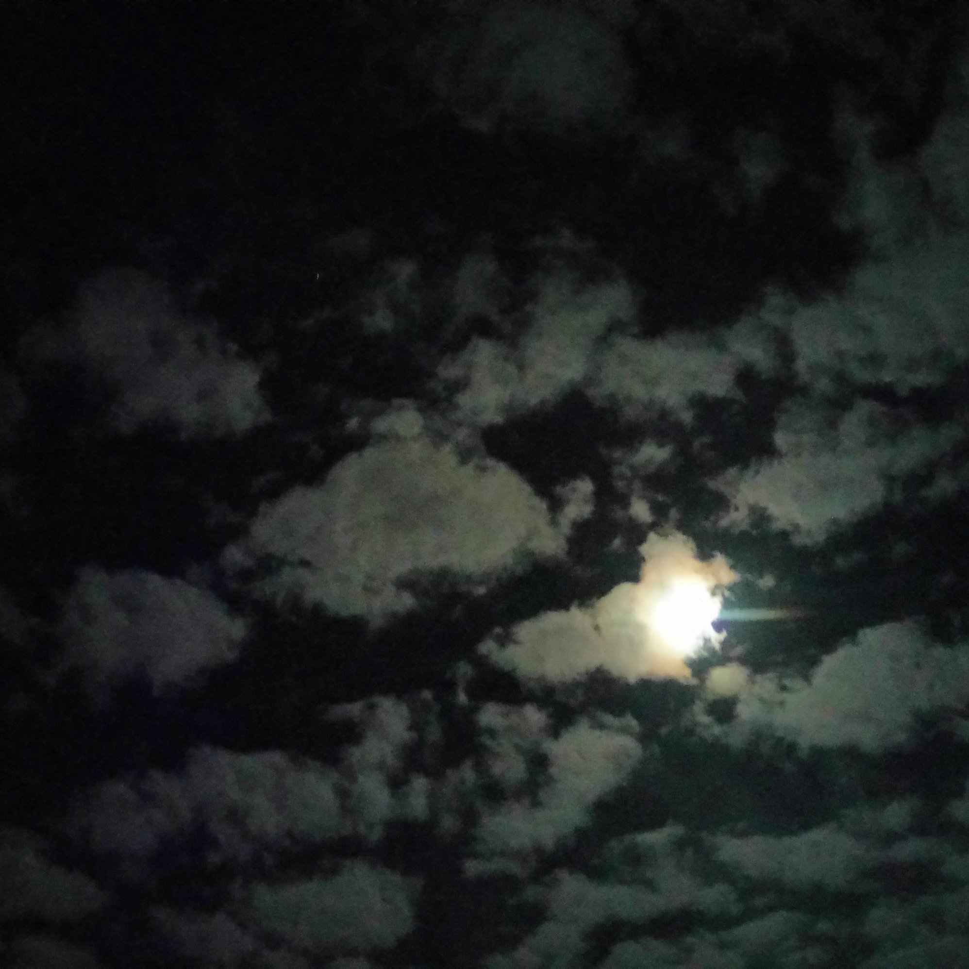 Geddesbeast's profile picture. Don't come on here much anymore, usually to check updates on bits and bobs.