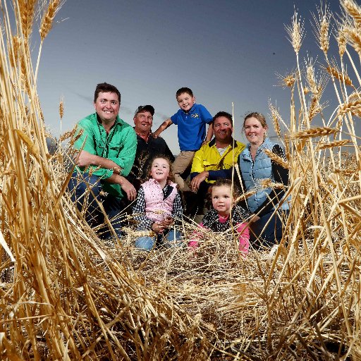 wdabby1's profile picture. Just one part of the Longtrail Farms team at Parilla in the SA Mallee. Retweets are not endorsements and opinions are my own.