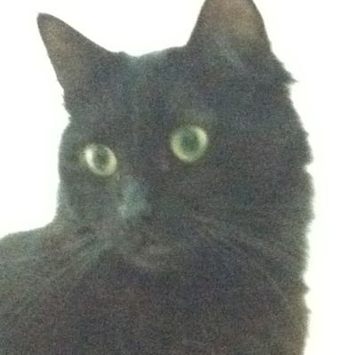 sdk345's profile picture. I'm sdk345 and I am... I'm..... I'm sdk345!
CTFing with @tfs_ctf