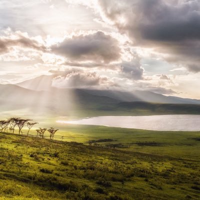 Cryptofeed786's profile picture. 