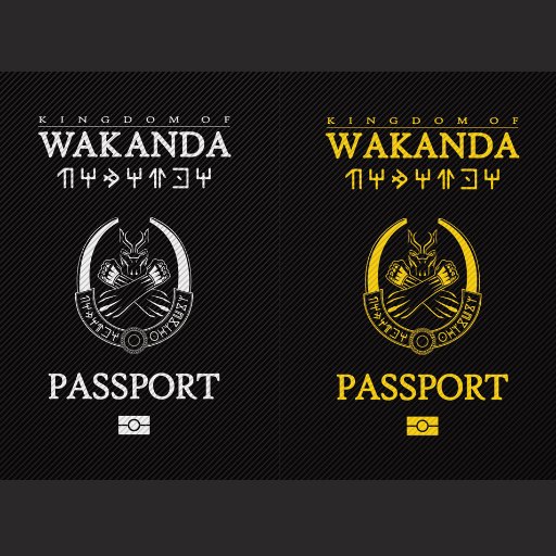 와칸다 여권 케이스 공구💕 예쁜사진과 후기 감사합니다 ❣️  #와칸다포에버 #와칸다여권 #와칸다여권케이스