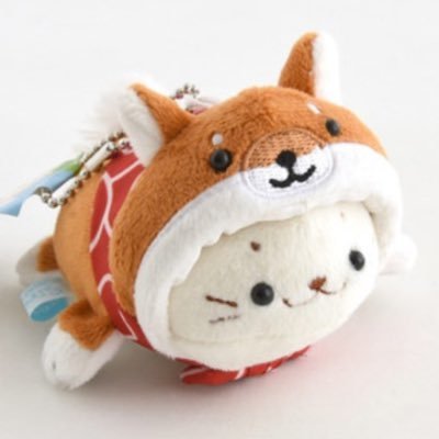 ポチさんのプロフィール画像