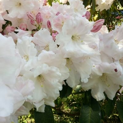 _Jane_Stone_'s profile picture. Currently working for finish my book with a brill artist creating the sketches for my characters inventions!