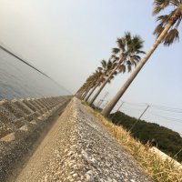 M (@honeoriboy) Twitter profile photo