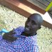 johnpaul maina (@johnpaulmaina1) Twitter profile photo johnpaul maina (@johnpaulmaina1) Twitter profile photo