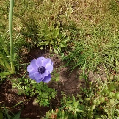 Wilts2003's profile picture. 