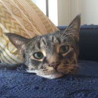 John Sellers (@johnsellers) 's Twitter Profile Photo