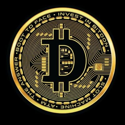 Donald J BitDon Profile