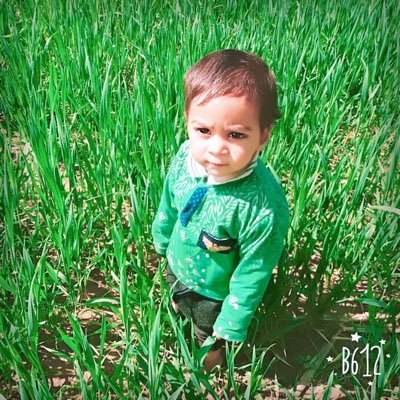 gulamhaide's profile picture. 