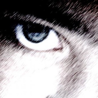 RareviewEnter's profile picture. 