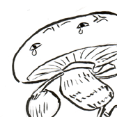 syhi18kc's profile picture. 