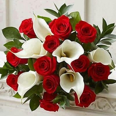 Veronic99145391's profile picture. disfruto de la vida...la música es mi mayor inspiración y me transporta a olores momentos y personas...