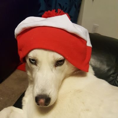 Maskedbeautie's profile picture. 