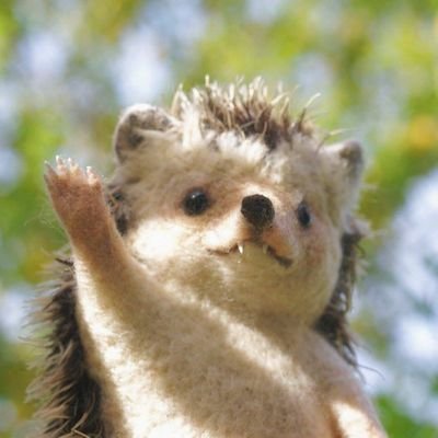 🌟 kid🌟さんのプロフィール画像