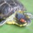 wishteca's profile image