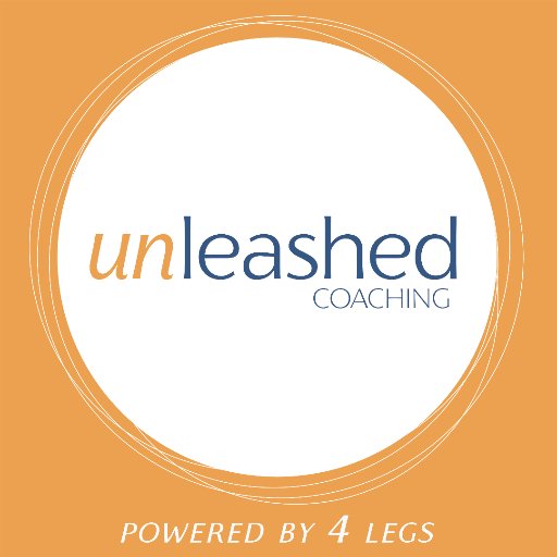 4legscoaching's profile picture. Animal-assisted coaching: team building, leadership development, change mgmt & more. Animals are honest & non-judgmental. Get out of the office and get results.