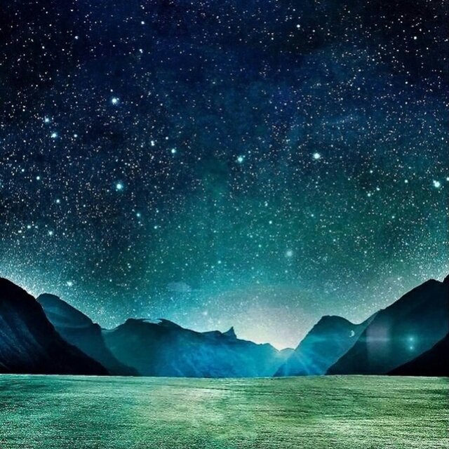 RotterdamTerror's profile picture. 