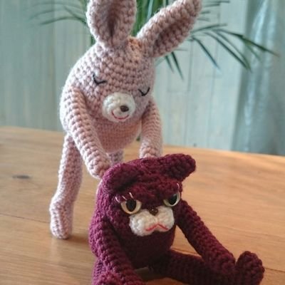 さかもと希夢さんのプロフィール画像