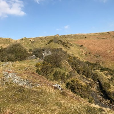 howsjones's profile picture. 