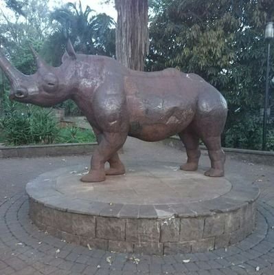 NyagahNyabura's profile picture. microbiologist and biotechnologist professions.God fearing ....TUKO PAMOJA