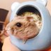 XUEHAN (@samanth44973890) Twitter profile photo XUEHAN (@samanth44973890) Twitter profile photo